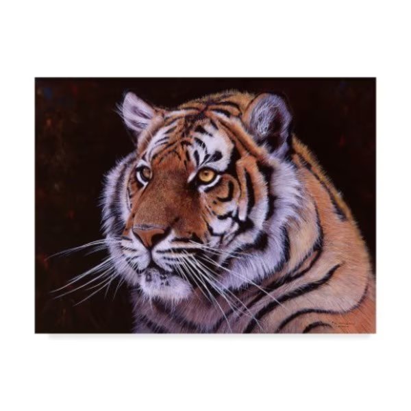 Pip Mcgarry 'Bengal Tiger Portrait' Canvas Art, 14x19, Trademark Fine Art, Mfr#: ALI44271-C1419GG